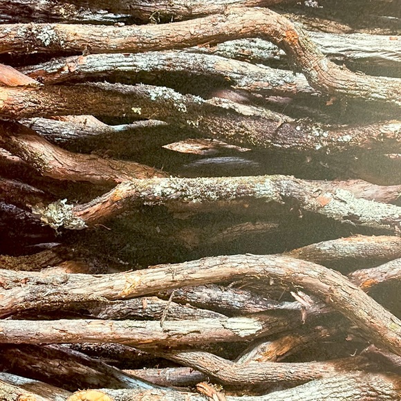 Scrapbook Paper! Wood Backgrounds & Textures! 12x12” - Picture 17 of 17